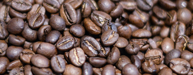 Kaffee­maschinen bei Elektro Bär GmbH in Neuendettelsau